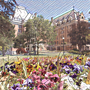 79秀内部表演合集
